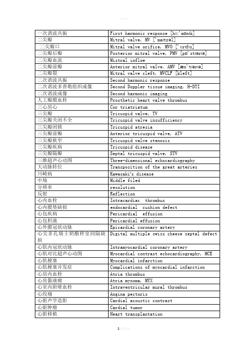 心脏超声中英文对照词汇