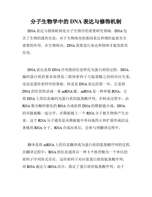 分子生物学中的DNA表达与修饰机制