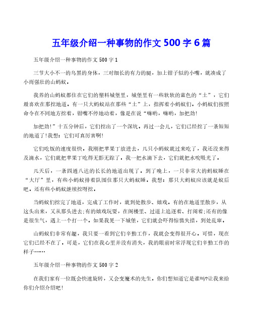 五年级介绍一种事物的作文500字6篇