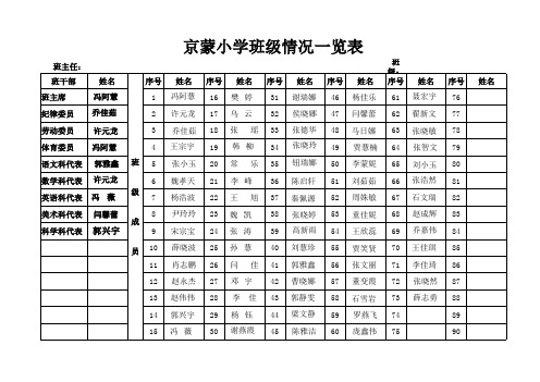 班级情况一览表
