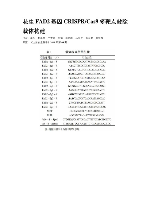 花生FAD2基因CRISPRCas9多靶点敲除载体构建