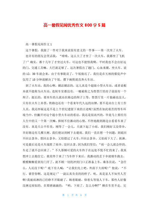 高一暑假见闻优秀作文800字5篇