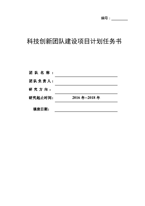 科技创新团队建设项目计划任务书