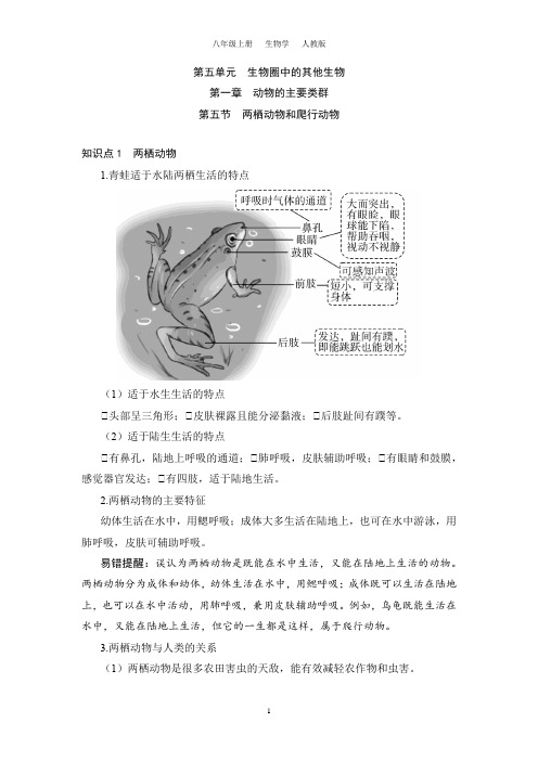 5.1.5 两栖动物和爬行动物(八上生物人教)