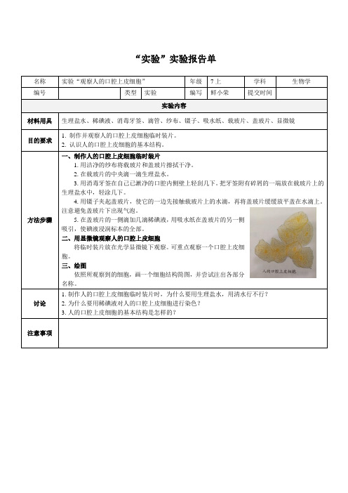 实验“观察人的口腔上皮细胞”实验报告-何武