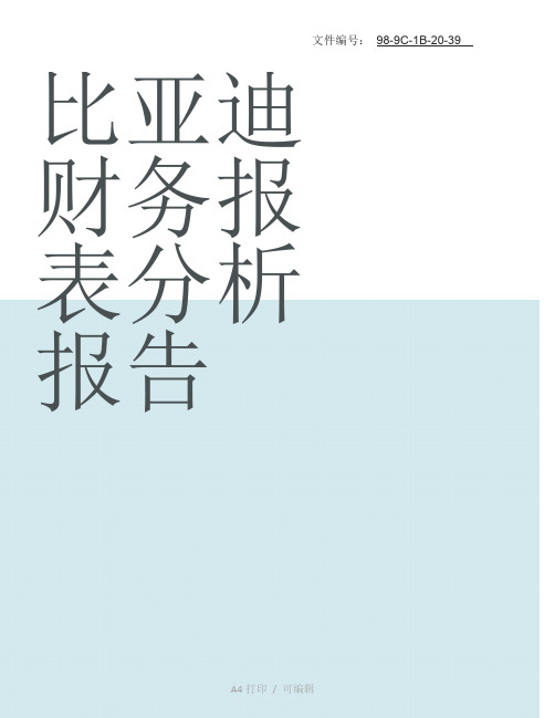 整理比亚迪财务报表分析报告