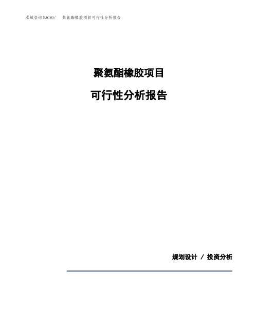 聚氨酯橡胶项目可行性分析报告(模板参考范文)