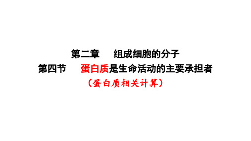 蛋白质相关计算课件-高一生物人教版必修1