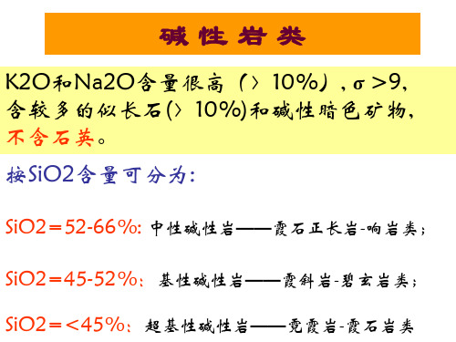 10-碱性岩及脉岩类