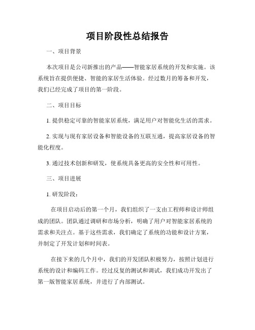 项目阶段性总结报告