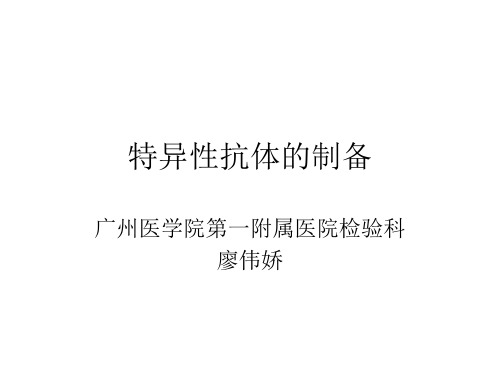 抗体的制备