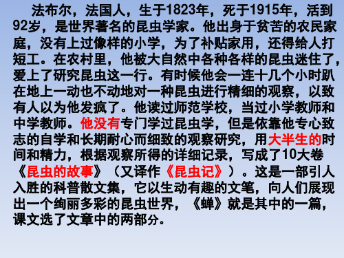 蝉ppt鄂教版四年级语文上册