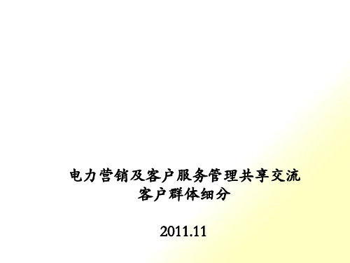 电力营销与客户服务管理共享交流_客户群体细分