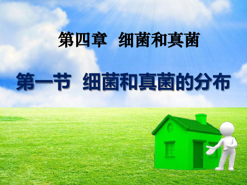 人教版八年级生物上册《5.4.1细菌和真菌的分布 (3)》PPT课件