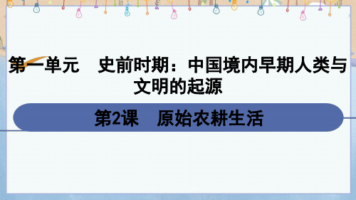 人教版七年级上册历史《第2课 原始农耕生活》课件