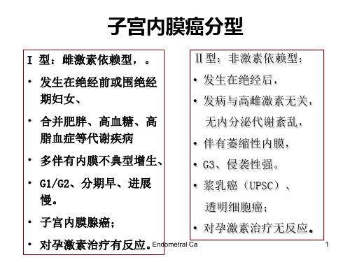 子宫内膜癌诊治面临的问题与挑战-妇产科课件