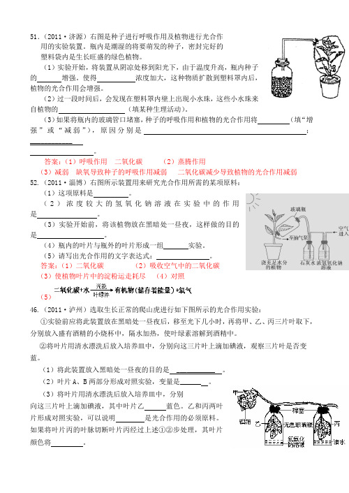 光合作用与呼吸作用中考复习练习题