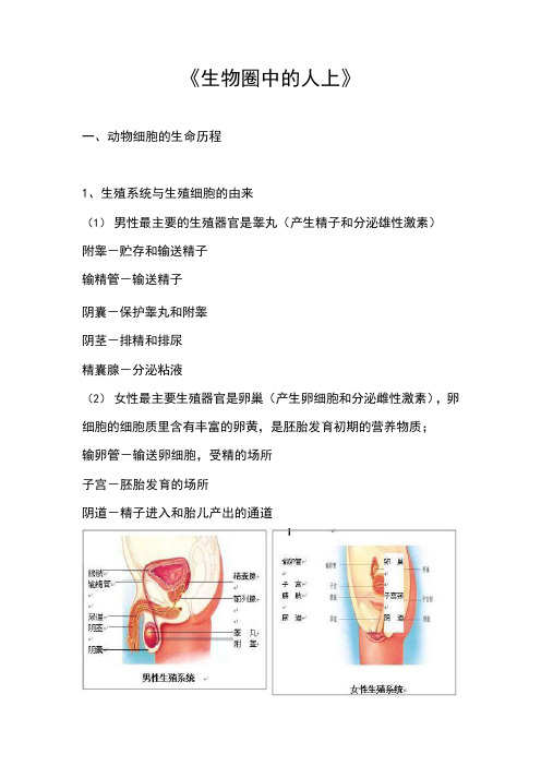 初中生物第五讲《生物圈中的人(动物)上》