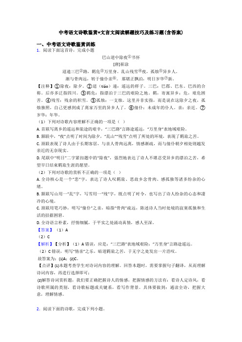 中考语文诗歌鉴赏+文言文阅读解题技巧及练习题(含答案)