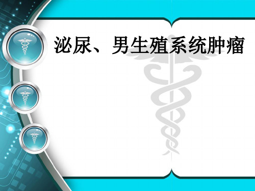 第九版外科学课件泌尿、男生殖系统肿瘤