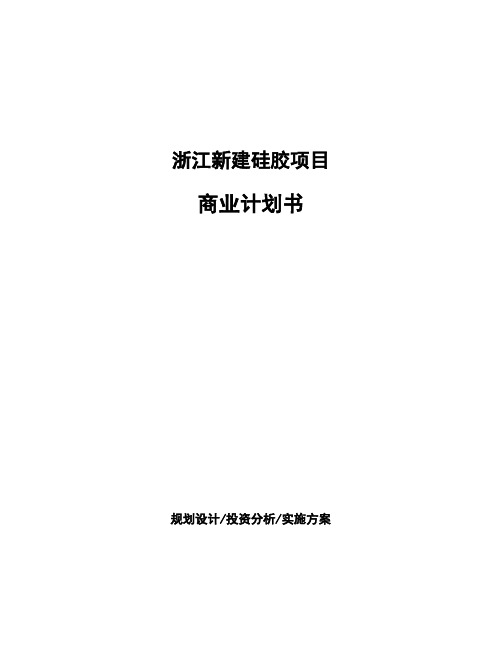 浙江新建硅胶项目商业计划书