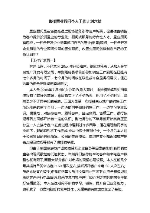 售楼置业顾问个人工作计划六篇