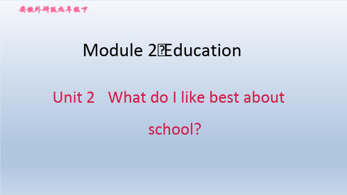 2021春外研版九年级英语下册 Module 2 Unit 2 What do 