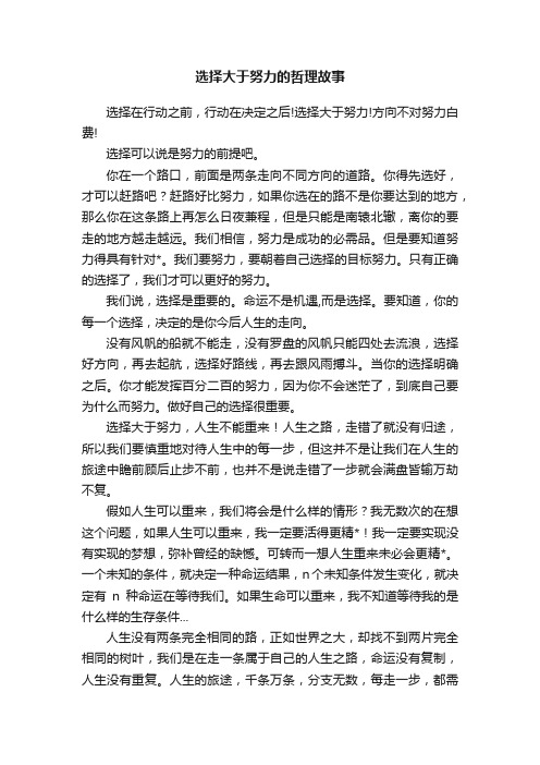 选择大于努力的哲理故事