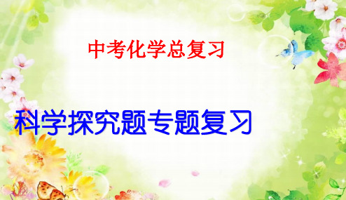 2018年人教版最新版本初中九年级化学中考科学探究题专题复习优质课课件PPT课件