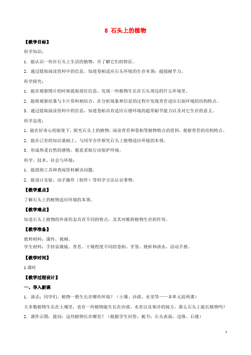 三年级科学下册第二单元植物与环境8石头上的植物教案苏教版