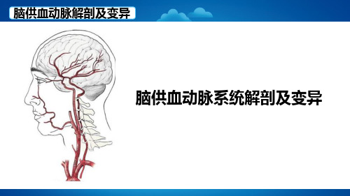 头颈部动脉发生、解剖及变异