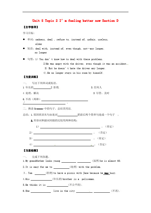 海南省海南国科园实验学校中学部八年级英语下册《Unit 5 Topic 2 I’m feeling 