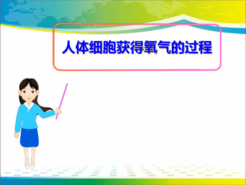 《人体细胞获得氧气的过程》PPT【完美版课件】