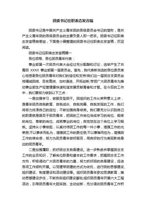 团委书记任职表态发言稿