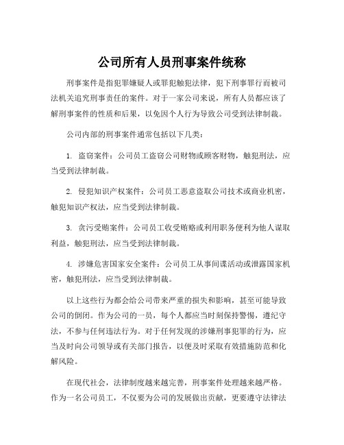 公司所有人员刑事案件统称