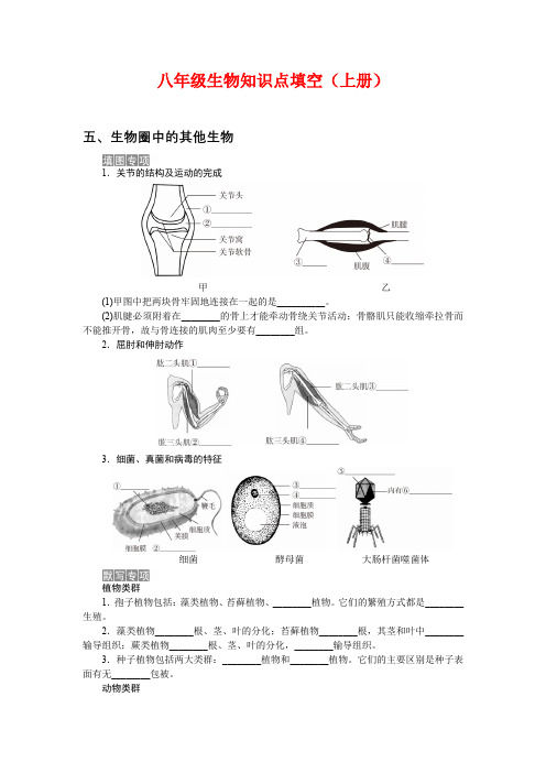 八年级生物知识点填空(上册)