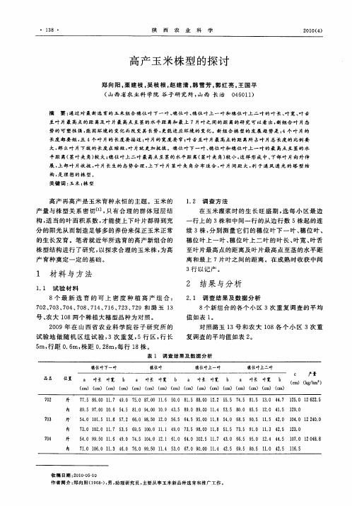 高产玉米株型的探讨