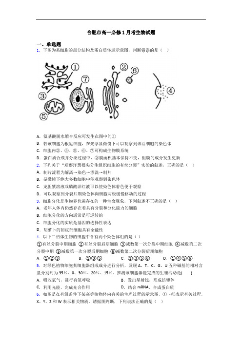 合肥市高一必修1月考生物试题