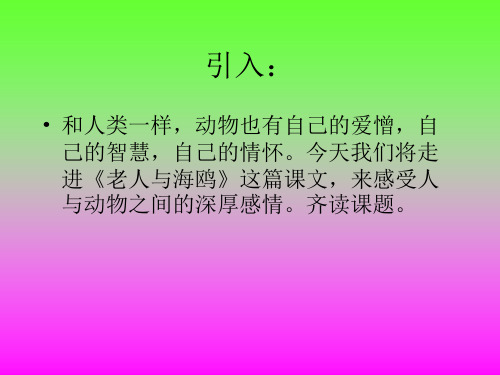 新老人与海鸥人教版小学语文六年级上册《老人与海鸥》精品PPT课件