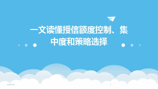 2024年度一文读懂授信额度控制、集中度和策略选择