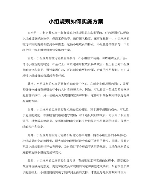 小组规则如何实施方案