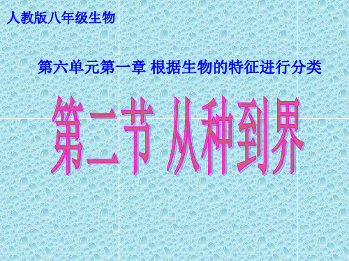 人教版初中生物八年级上册  6.1.2 从种到界 课件