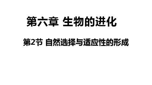 6.2自然选择与适应的形成课件(共40张PPT)高中生物 人教版2019必修二