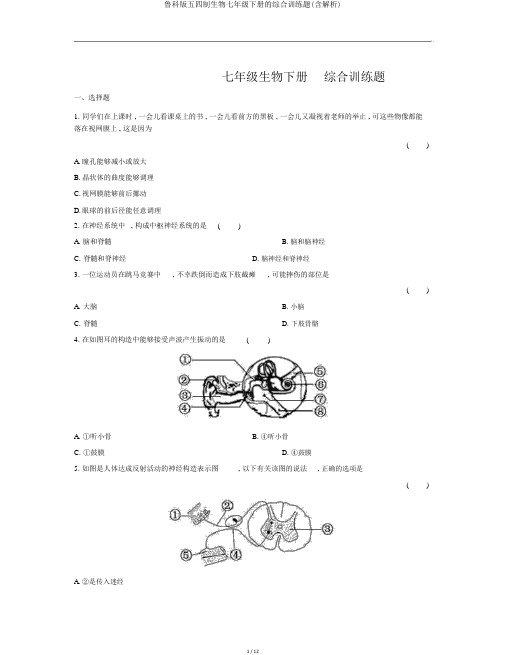 鲁科版五四制生物七年级下册的综合训练题(含解析)