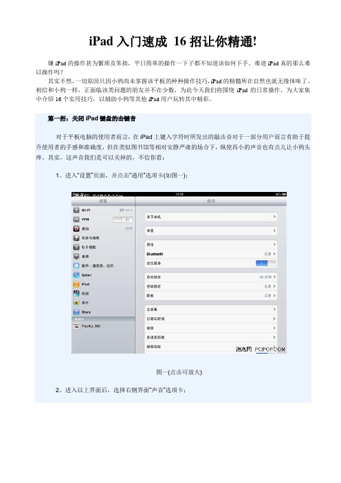iPad入门速成 16招让你精通