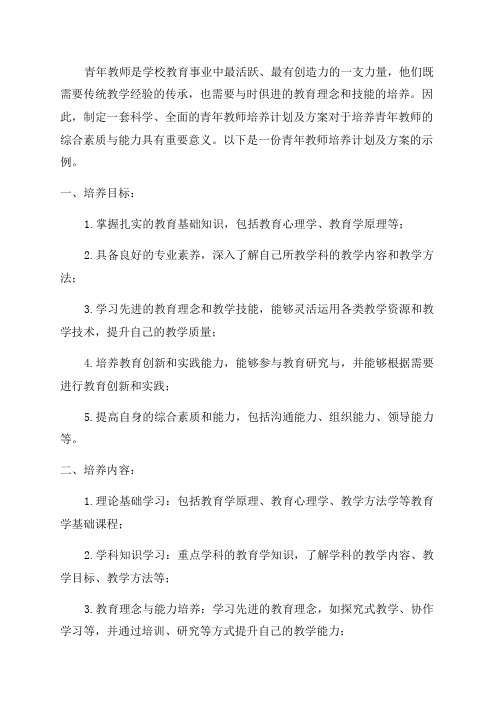 青年教师培养计划及方案