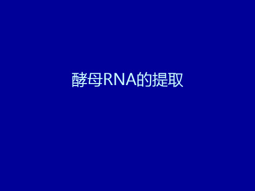 实验四酵母RNA的提取