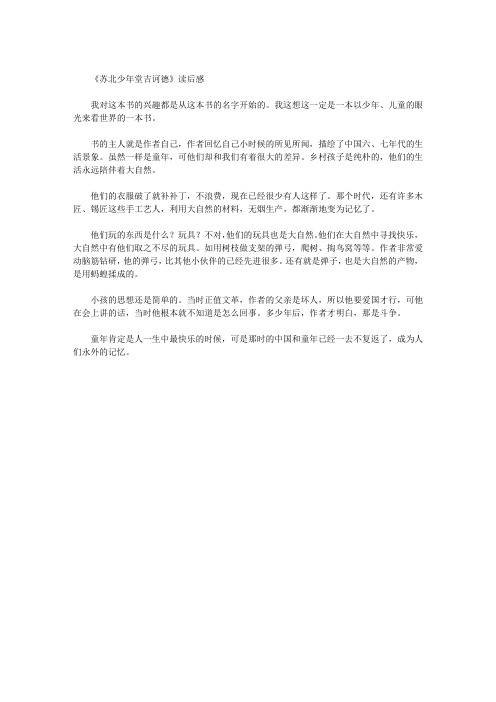 《苏北少年堂吉诃德》读后感