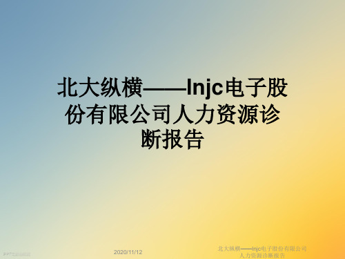 北大纵横——lnjc电子股份有限公司人力资源诊断报告