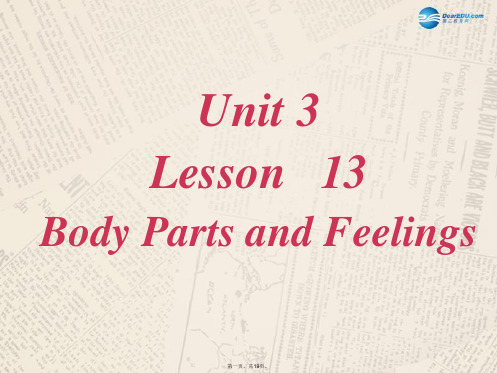 七年级英语上册 Unit 3 Lesson 13 Body Parts课件 (新版)冀教版